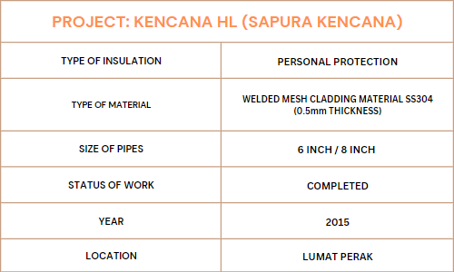 A table for the types of insulation, materials, pipe sizes, work status, year, and location