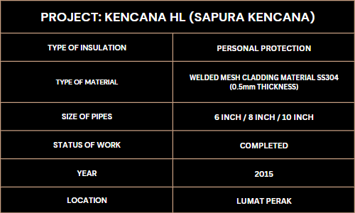 A table for the types of insulation, materials, pipe sizes, work status, year, and location