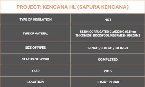 A table for the types of insulation, materials, pipe sizes, work status, year, and location